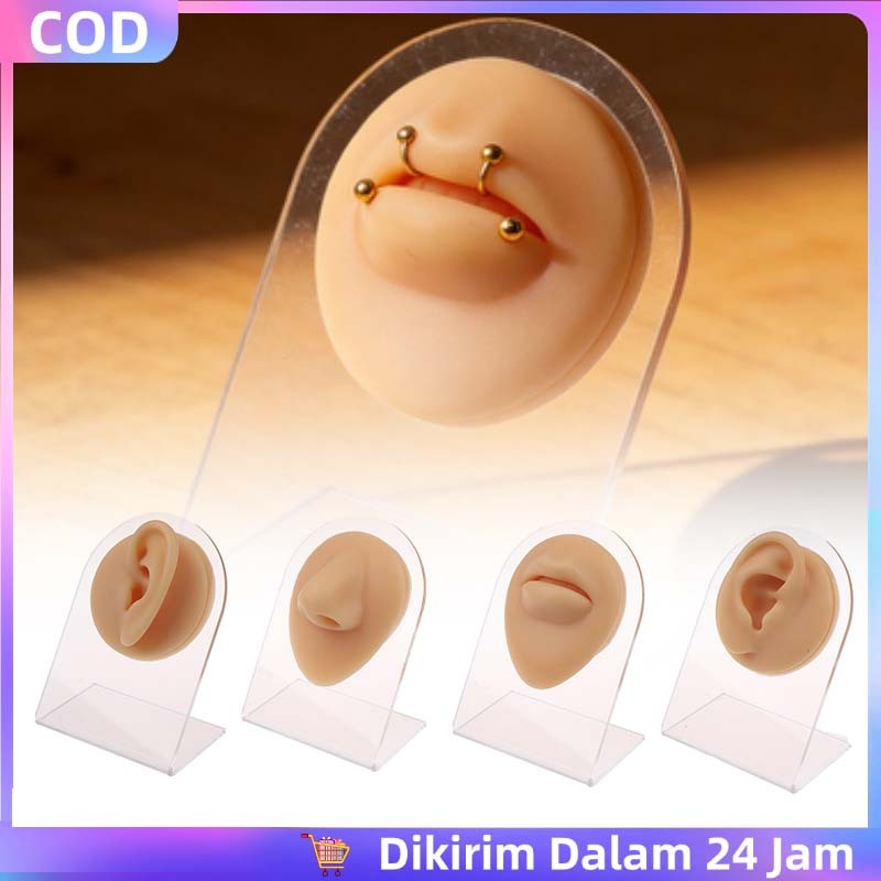 Model Telinga Silikon Alat Tindik Telinga Telinga Kiri Dan Kanan  Hidung Mulut Silikon Alat  Tindik 