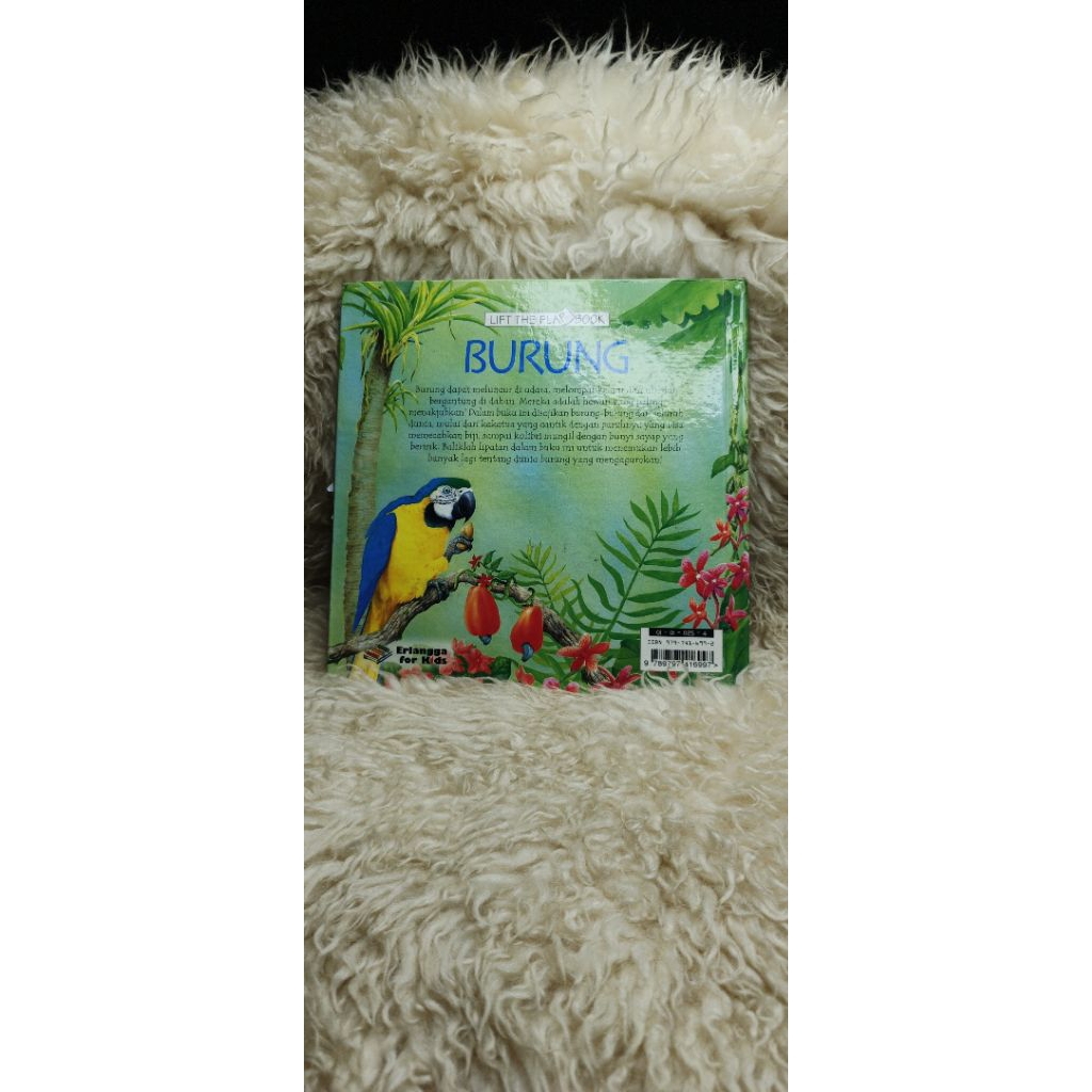 burung ilustrasi oleh peter scott