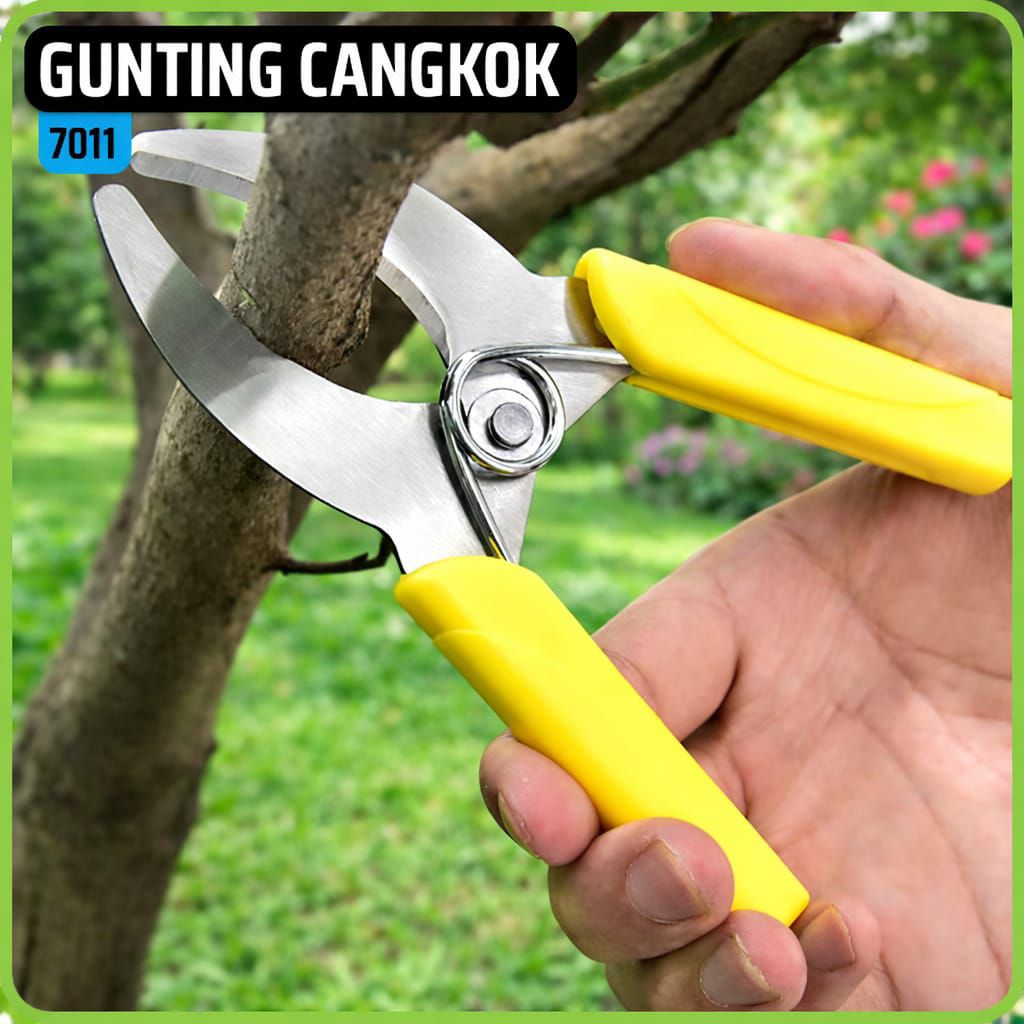 Gunting cangkok batang tanaman buah