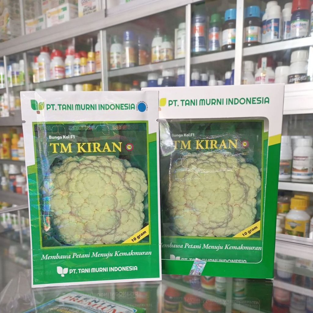 Bunga Kol F1 TM KIRAN