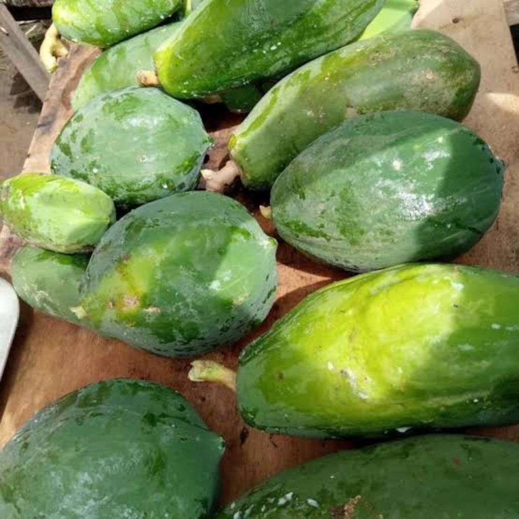 pepaya muda segar
