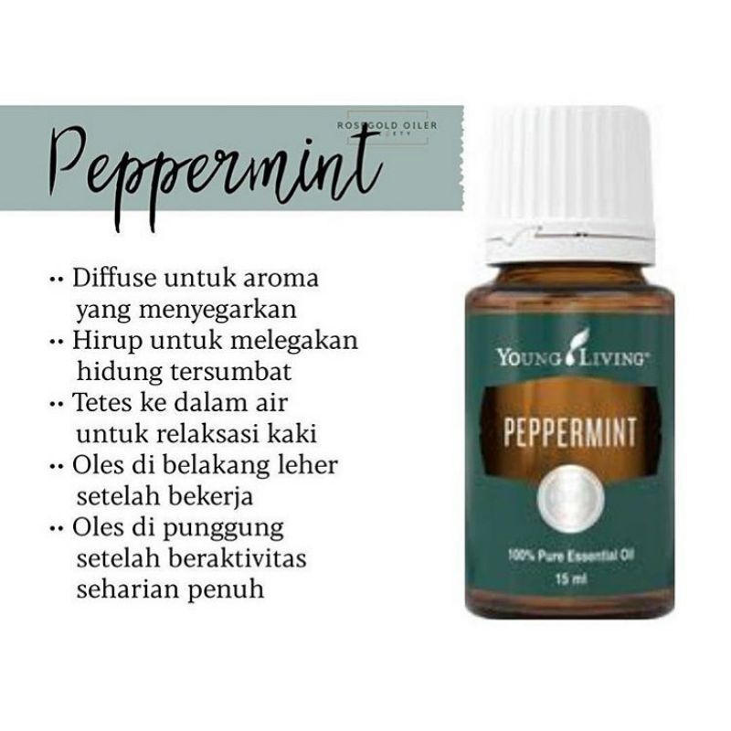 Peppermint young oil living 5ml 15ml segel original YLEO ori segel
