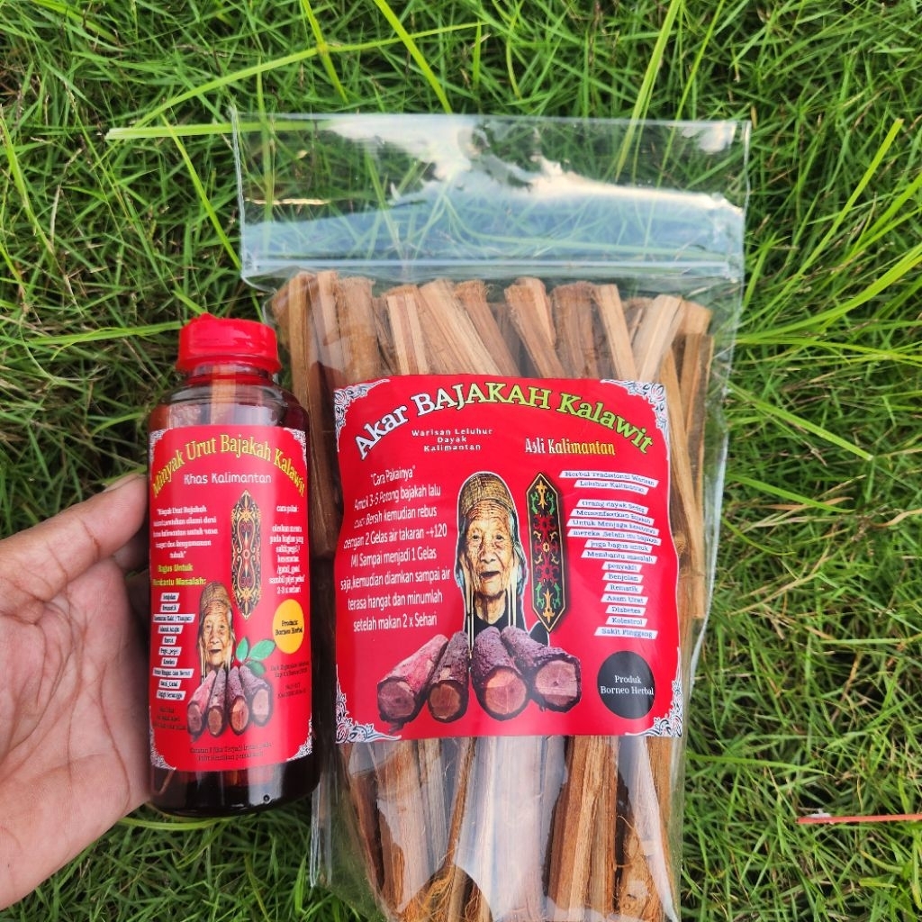 Minyak Akar BaJaKaH Kalawit Flus Akar BaJaKaH Kalawit.1 pekat 2 manfaat