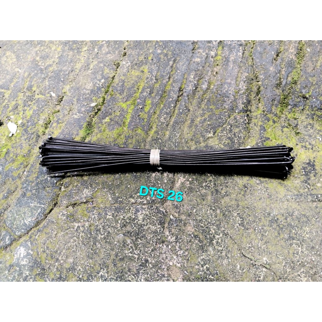 Spoke DT Swiss Jari Jari DT Swiss Roda 26