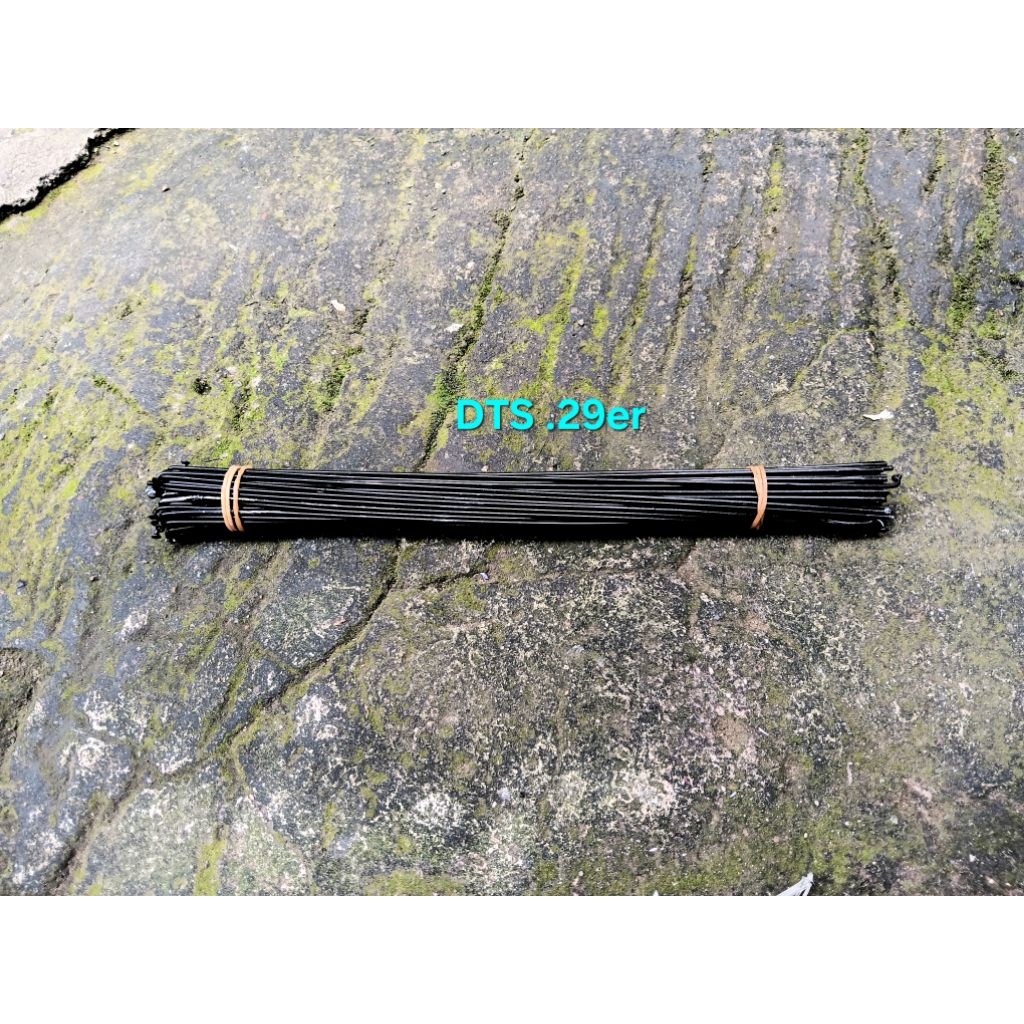 Spoke DT Swiss 29er Jari jari DT Swiss Roda 29