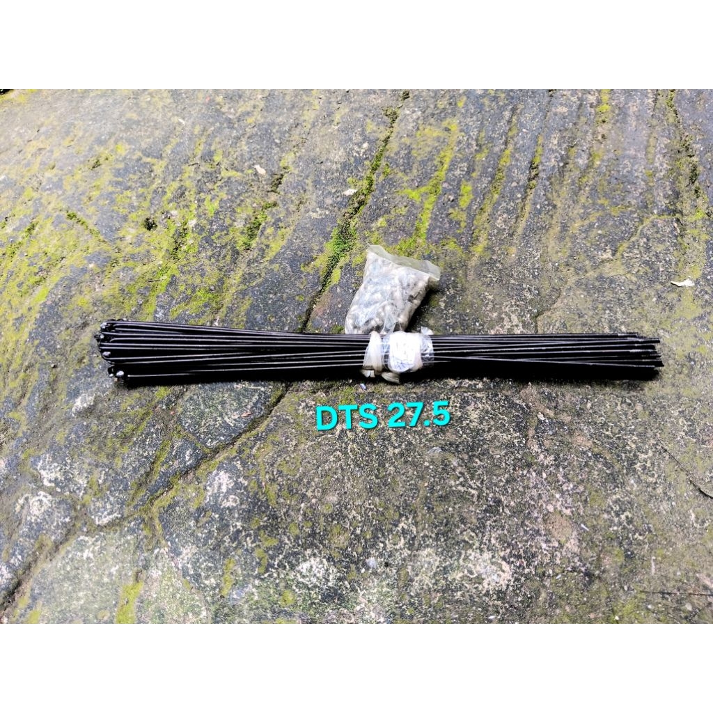 Spoke DT Swiss 27.5 Jari Jari DT Swiss 27.5