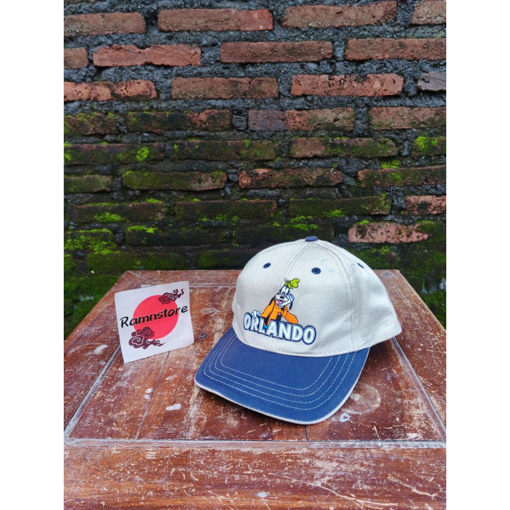 topi disney goofy orlando kids-youth