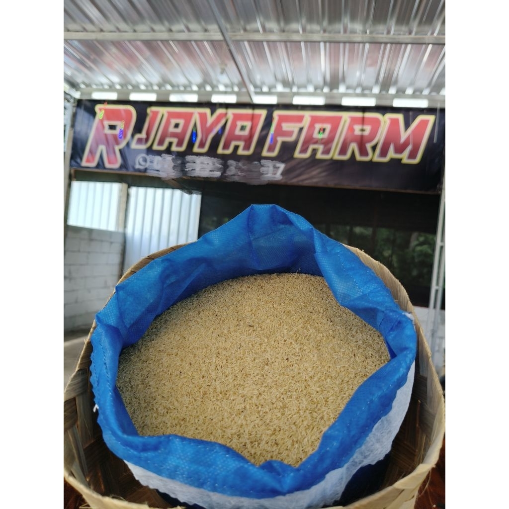 Telur Jangkrik Madu Kunyit ( Kuning Super Tanpa Campuran ) 1Kg