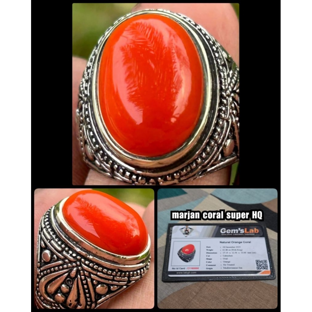 batu Marjan merah super kontes ( asli laut merah NTE )