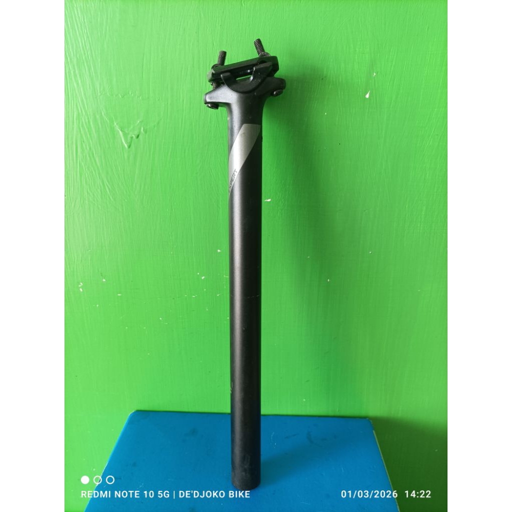 Seatpost Entity