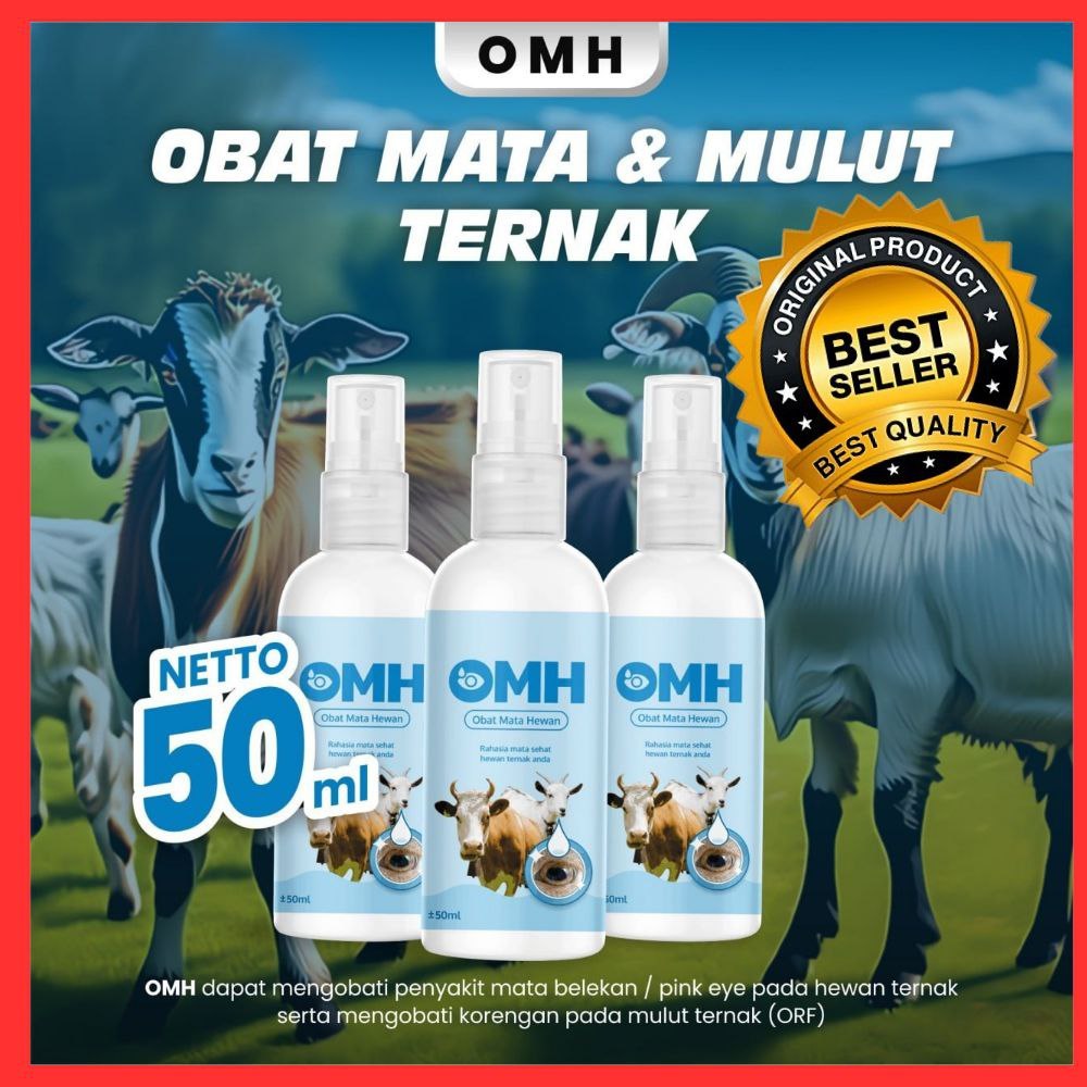 TERAMPUH  Obat Belekan Kambing Jawa