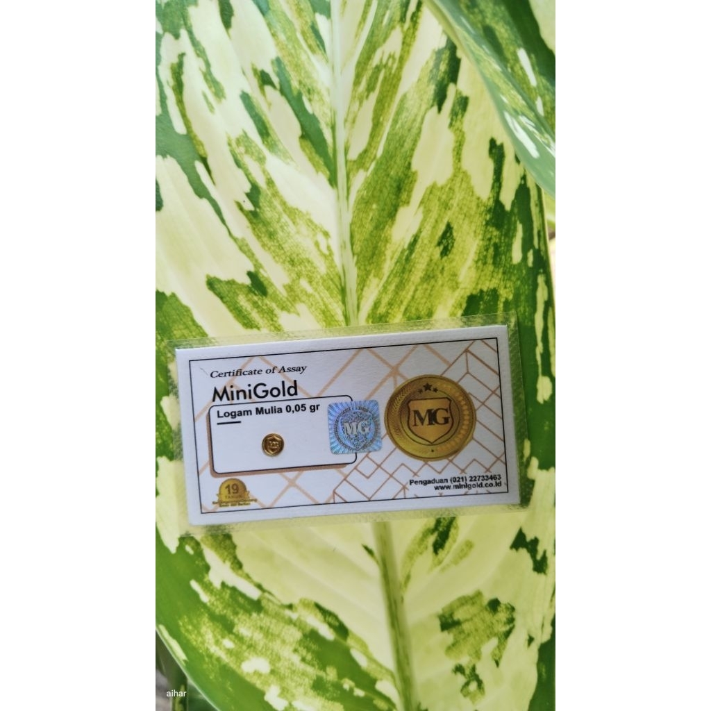 Logam Mulia Emas Mini Gold MiniGold White Series 0,05 gr 0.05 gram