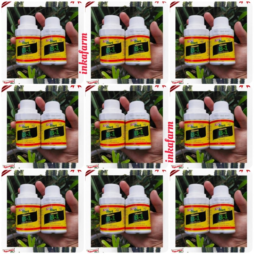 best seller pupuk original