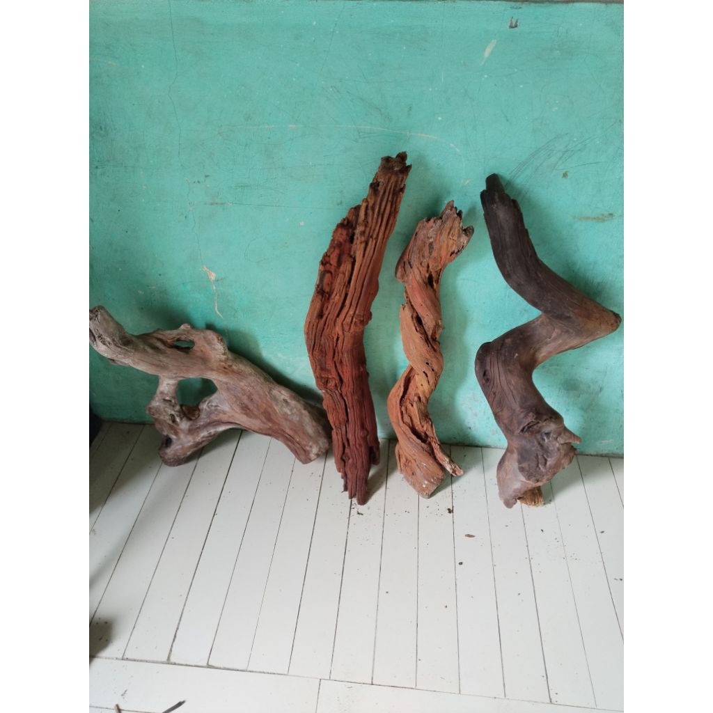 KAYU SANTIGI ASLI ALAMI