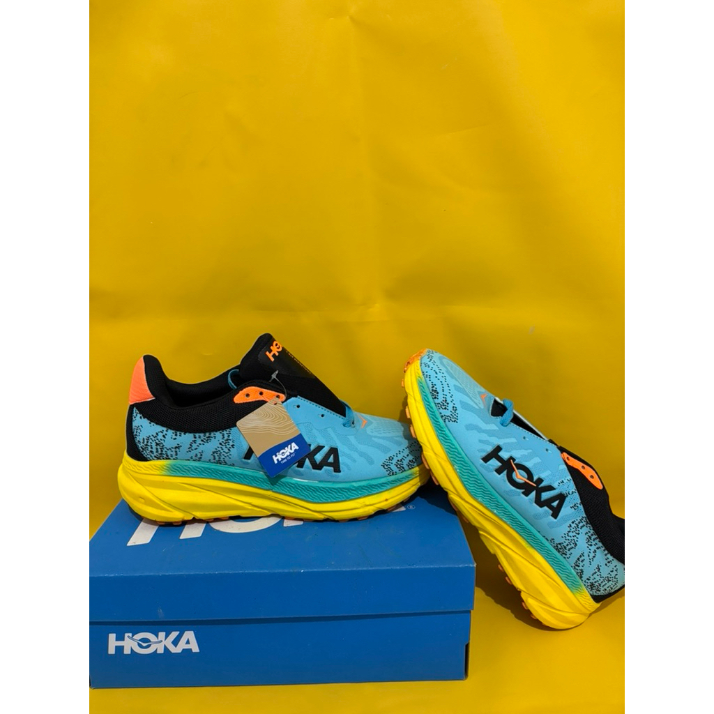 Hoka shoes
