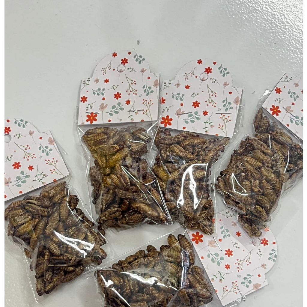 Snack Hamster - Jangkrik Kering