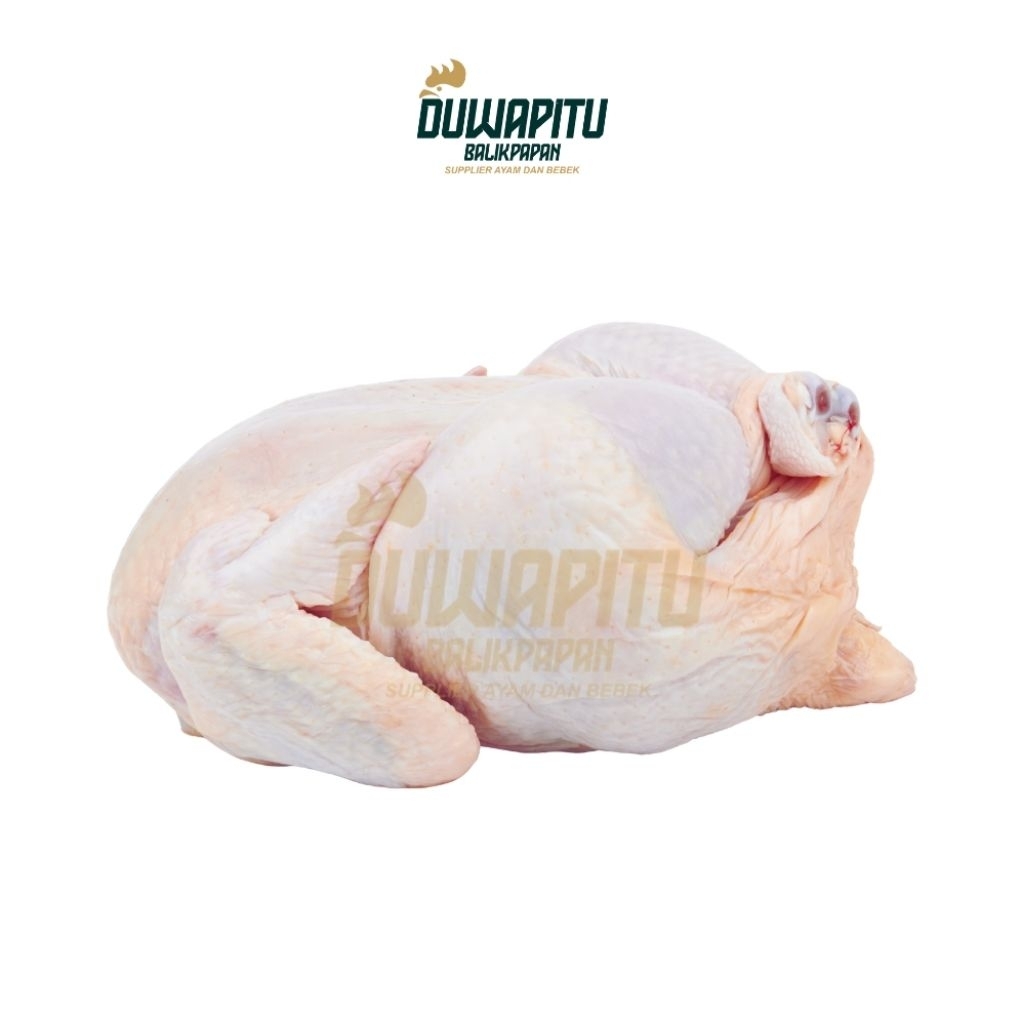 Ayam Potong Karkas Segar (Frozen) - Duwapitu Balikpapan