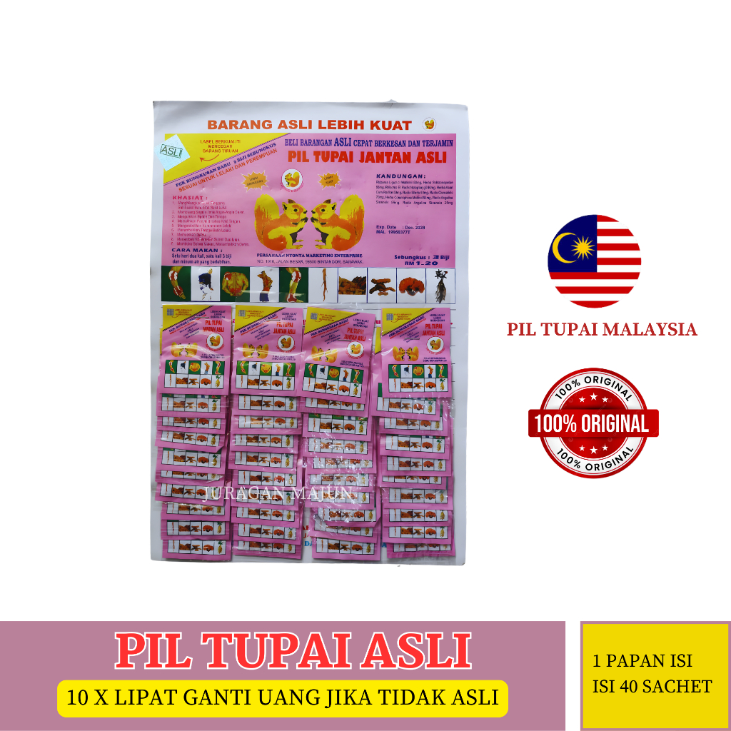 Pil Tupai Jantan Asli - Herbal Kuat Badan, Pereda Nyeri, dan Penambah Stamina