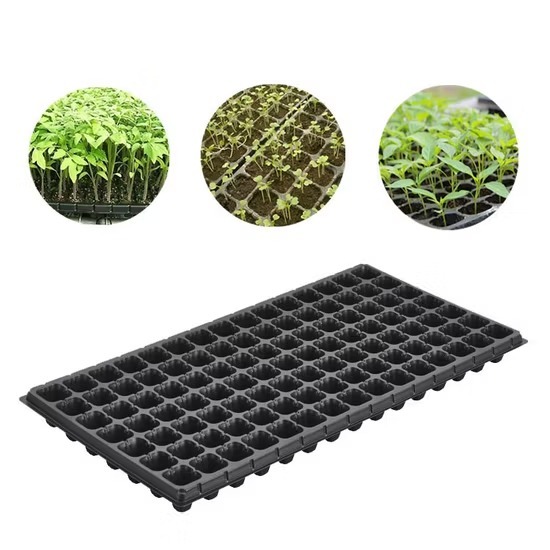 Tray Semai 105 Lubang Tebal 1mm Untuk Tanaman