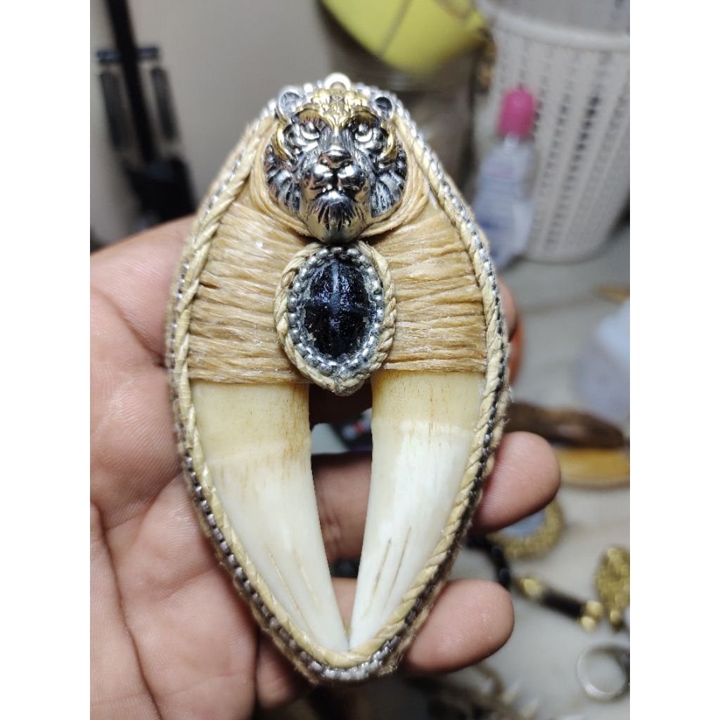 Liontin Taring Macan Tapak Jalak Hitam