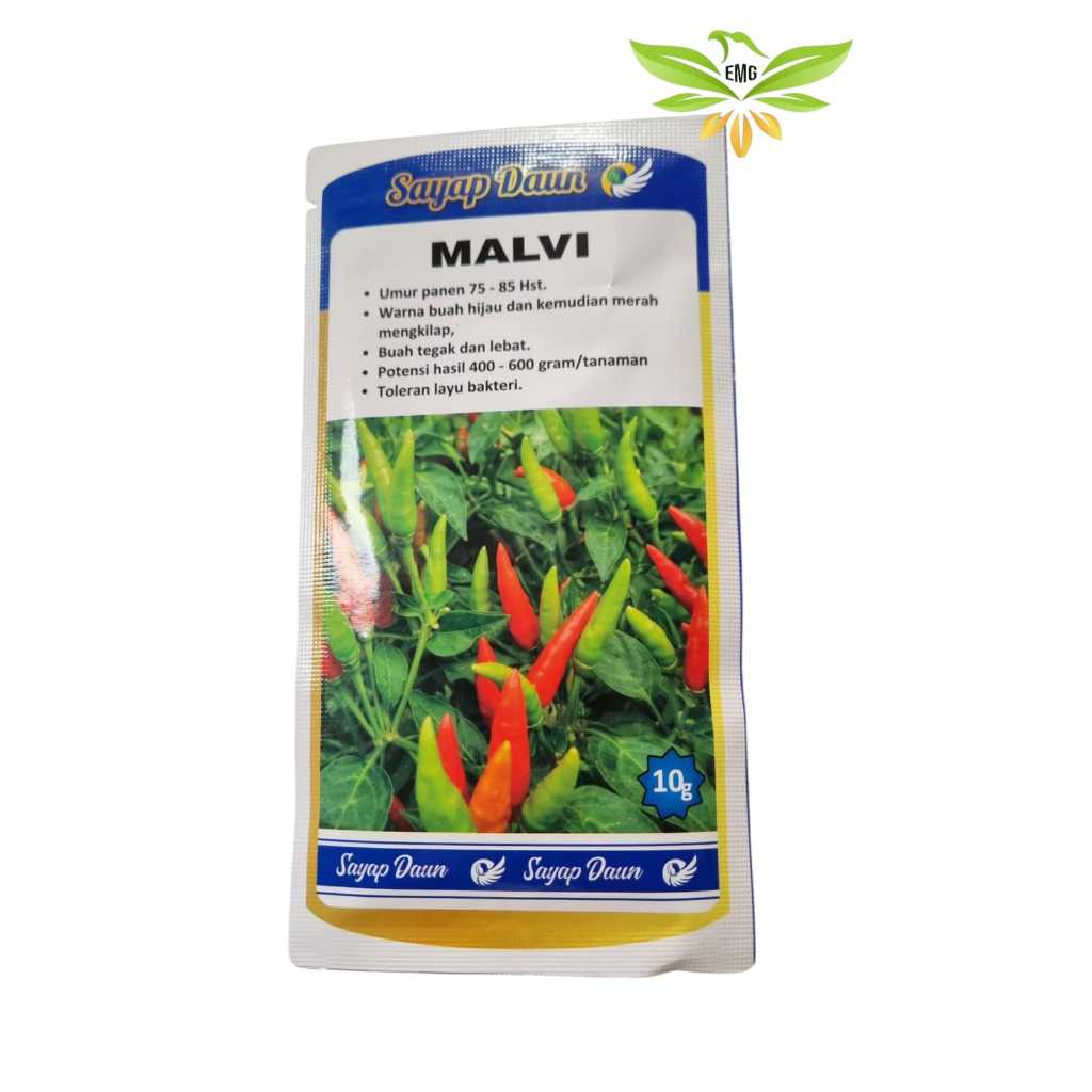 SAYAP DAUN Benih Cabe Rawit Malvi 10g Daya Tumbuh 85% Kemurnian 98% Hijau Merah