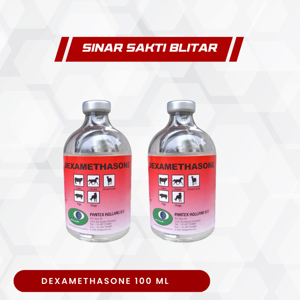DEXAMETHASONE 100 ML PANTEX  HOLLAND - Anti Radang Untuk Sapi