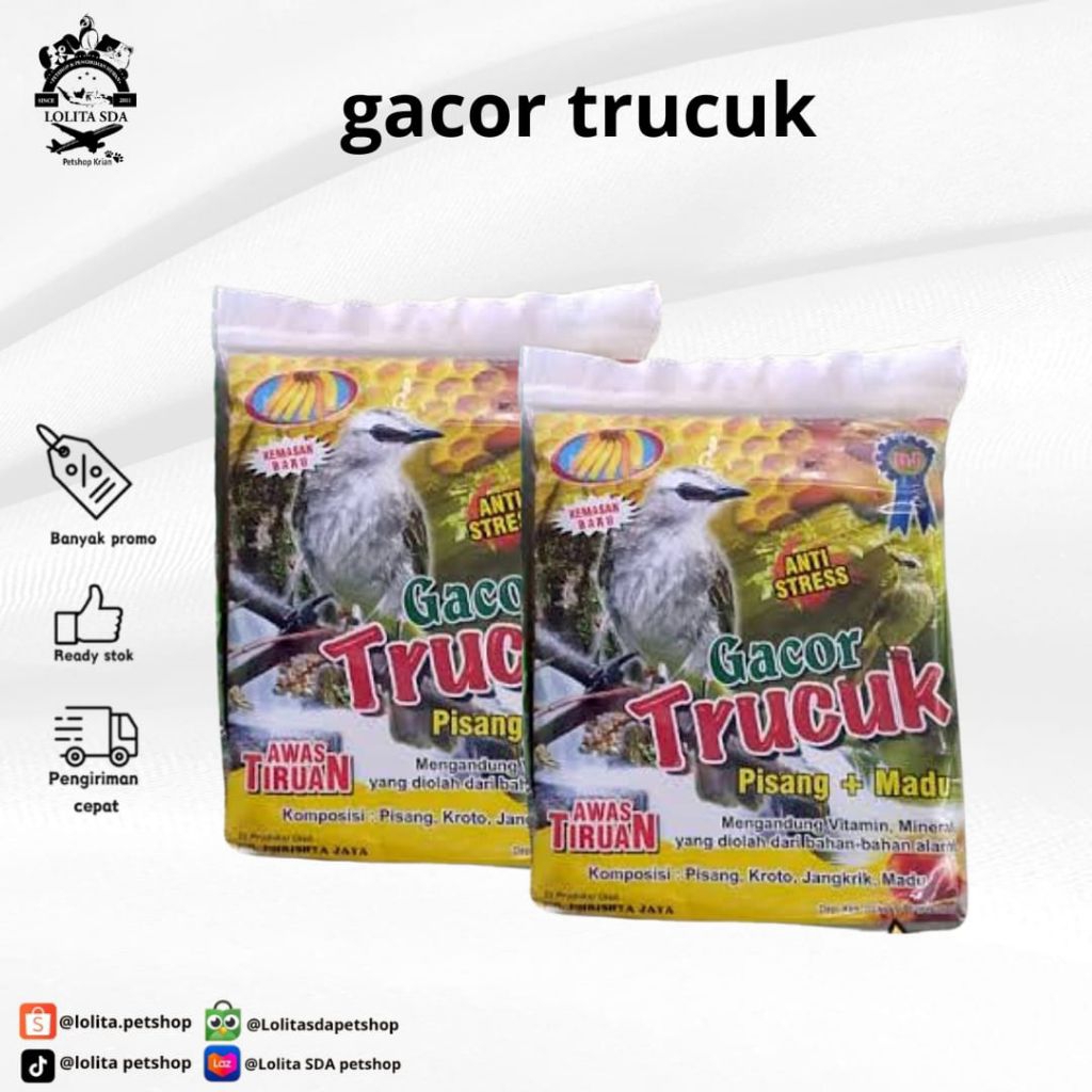 trucuk gacor makanan burung trucuk