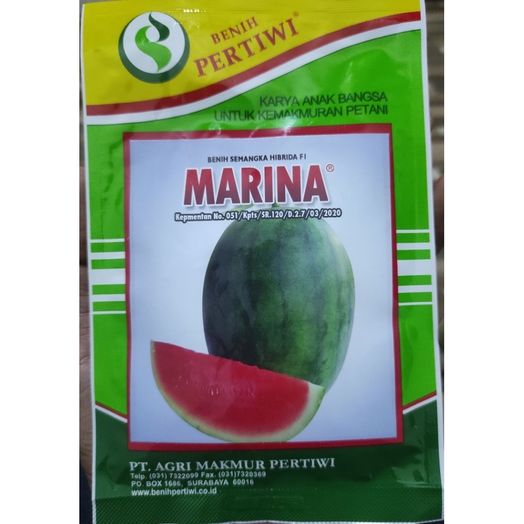 BENIH SEMANGKA MARINA F1 20 GR - SEMANGKA NON BIJI LONJONG