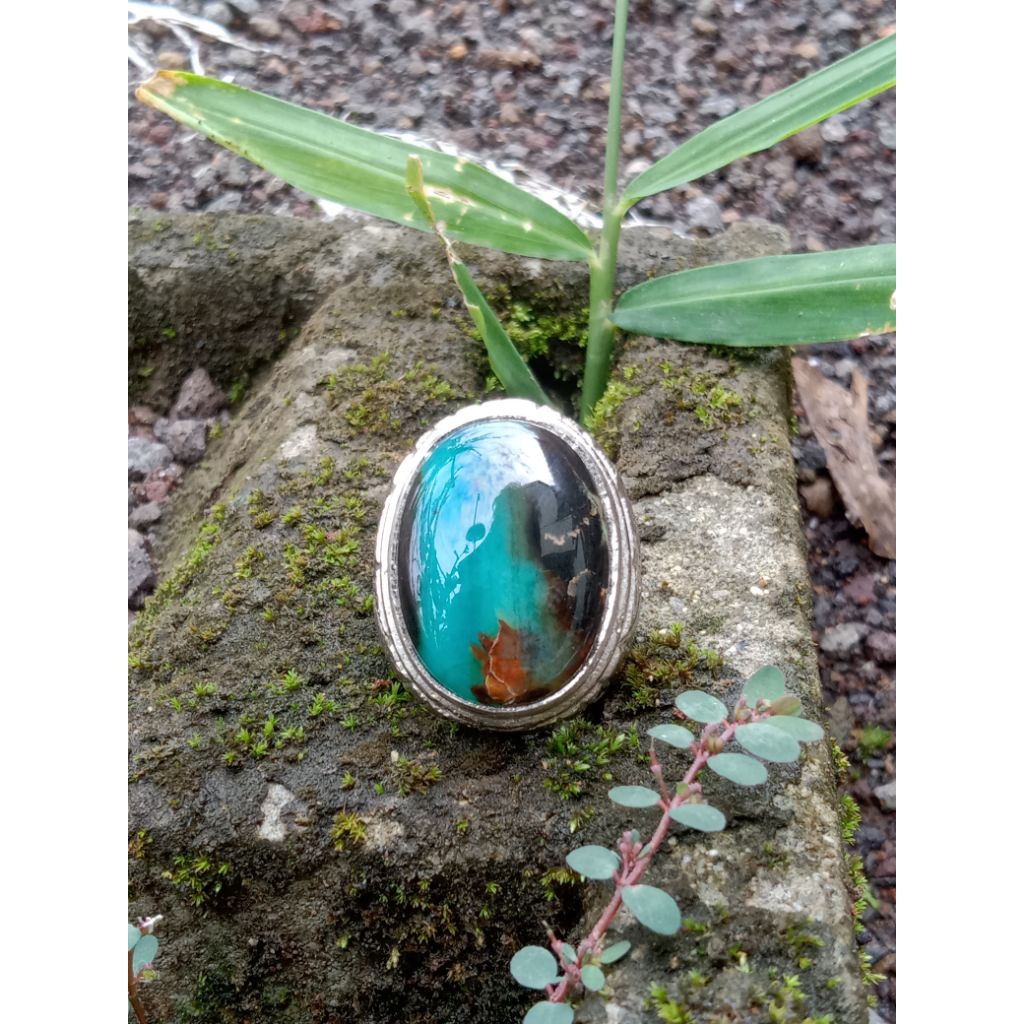 pw Garut ijo cikolak