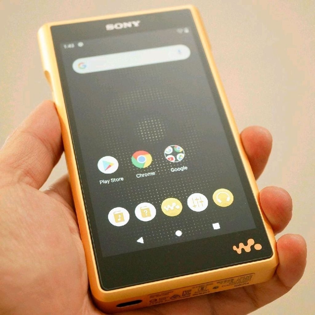 Sony NW-WM1ZM2 Walkman Music Player