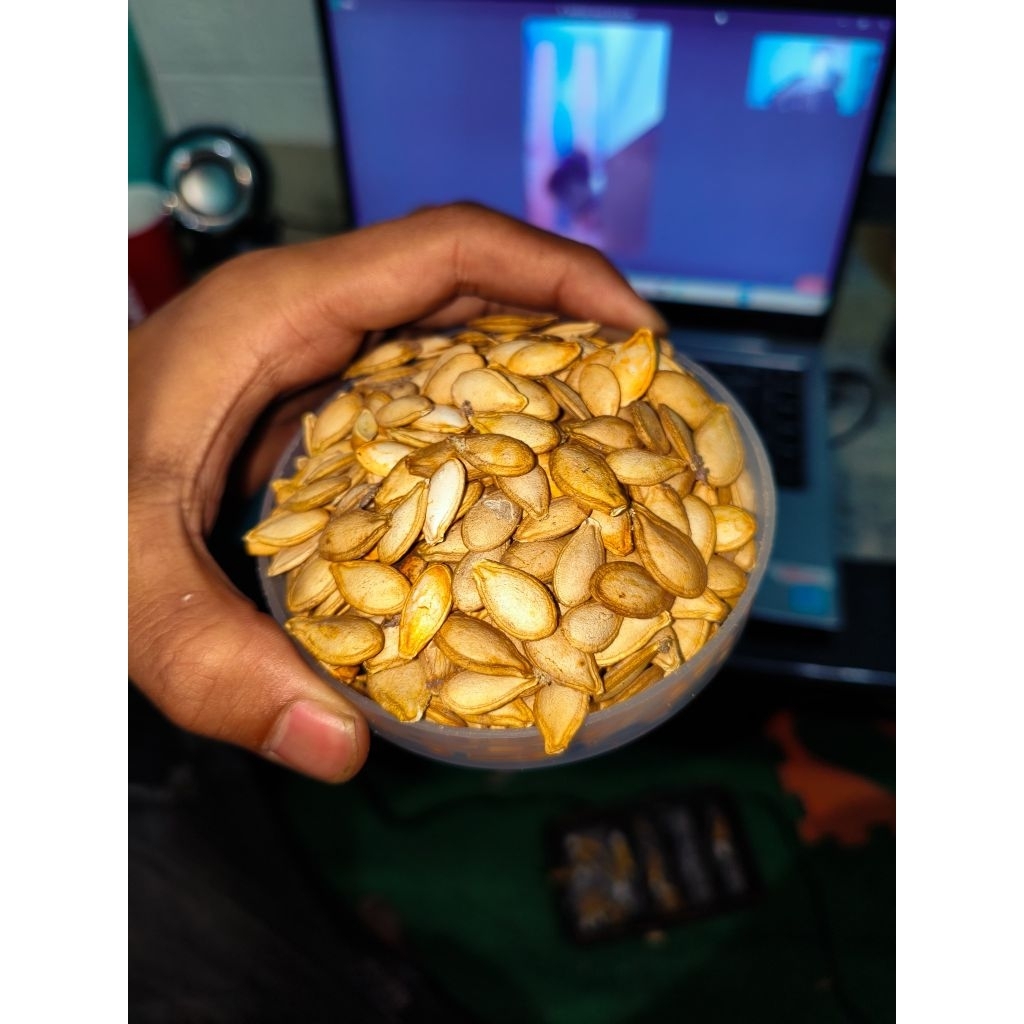 Biji/Benih Labu kuning jumbo berkualitas tinggi