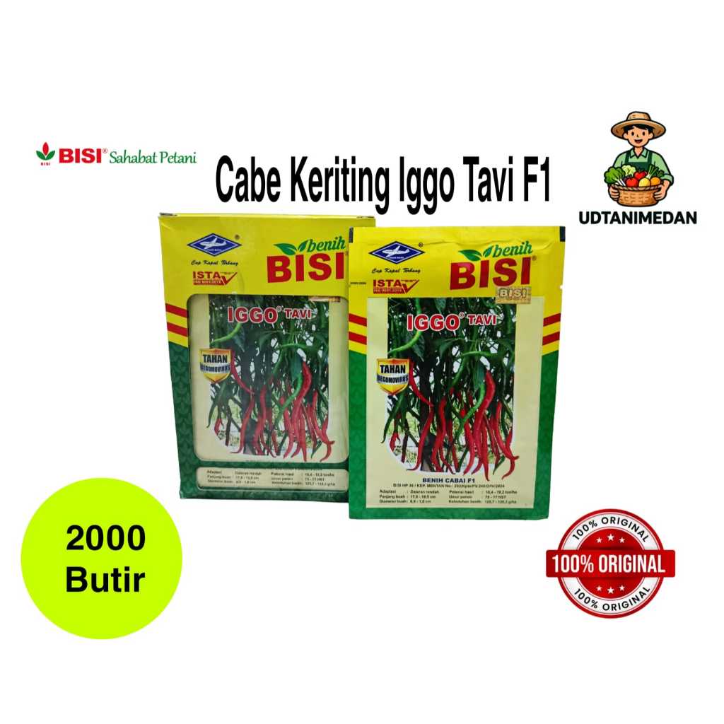 Benih Cabe Merah Keriting Iggo Tavi isi 10 gram