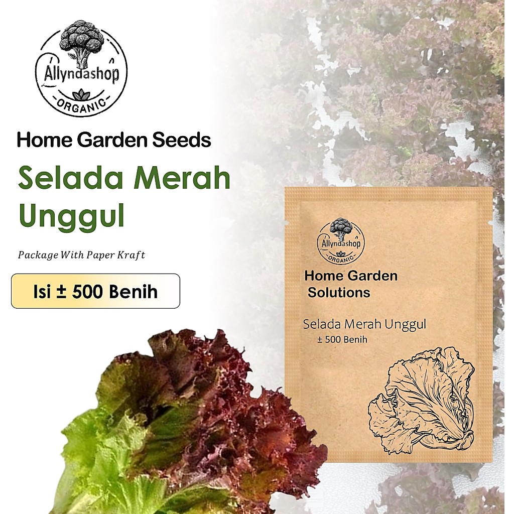 Benih Selada Keriting Merah Super – Cocok untuk Hidroponik & Polybag
