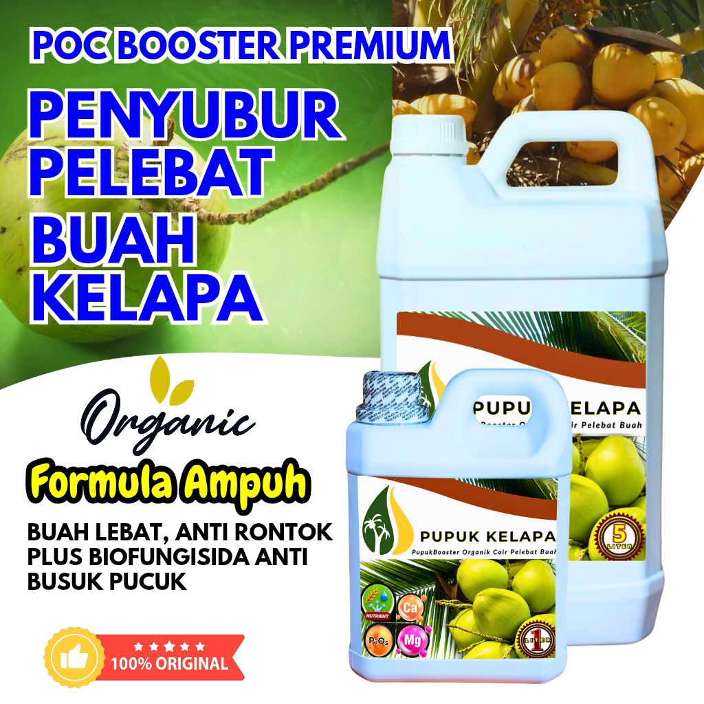 Pupuk Kelapa Agar Cepat Besar Berbuah Lebat Anti rontok  | Pupuk Booster Kelapa Hibriba Hijau Pendek