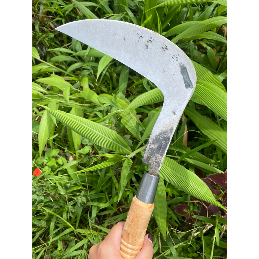 Arit pemotong padi dan rumput baja isen wonosobo