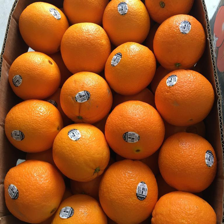 jeruk sunkist oren sunkist cara cara -+ 1kg