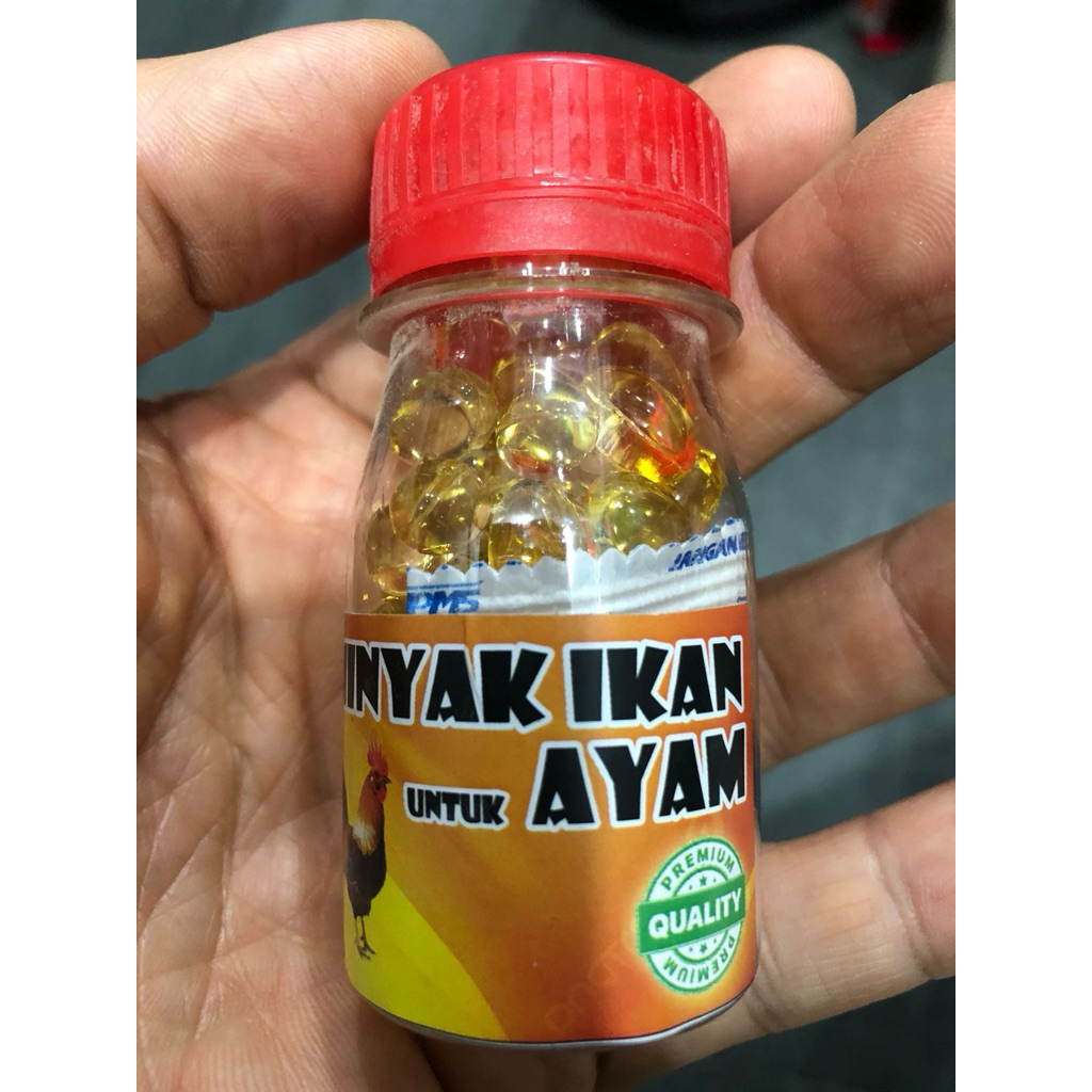 MINYAK IKAN OMEGA UNTUK AYAM