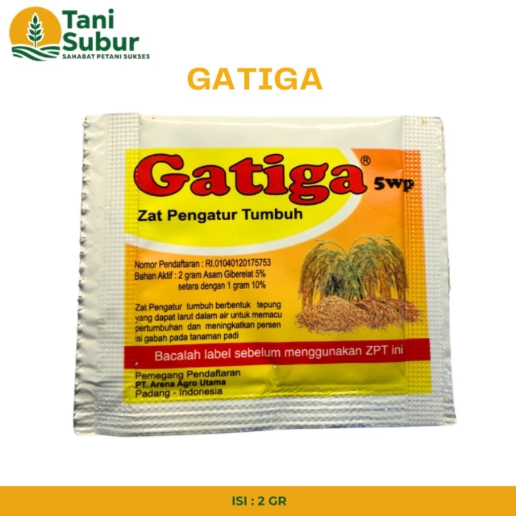 GATIGA 5WP 2GR - ZPT