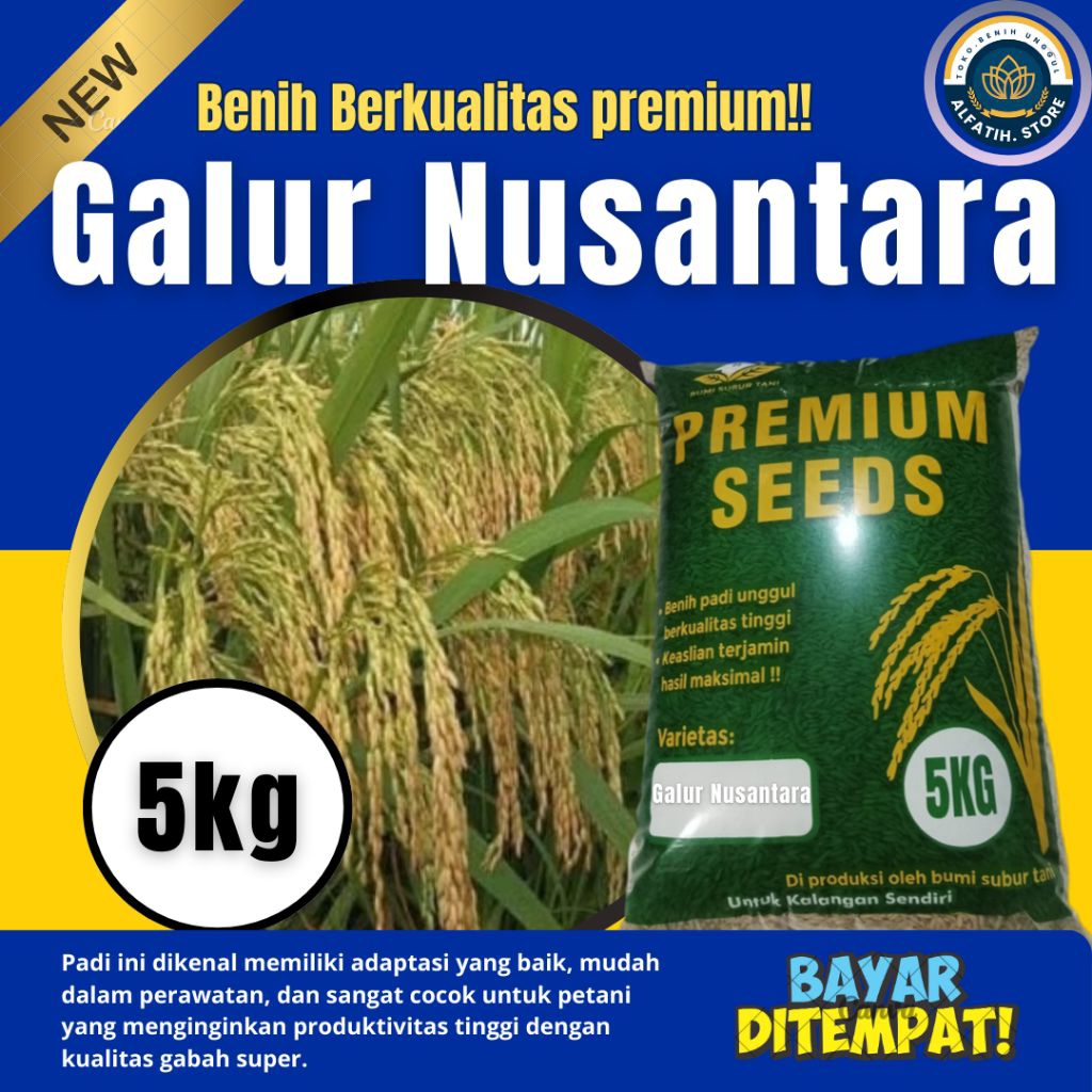 padi unggul Galor Nusantara  benih padi berkualitas premium buah yg lebat 5kg