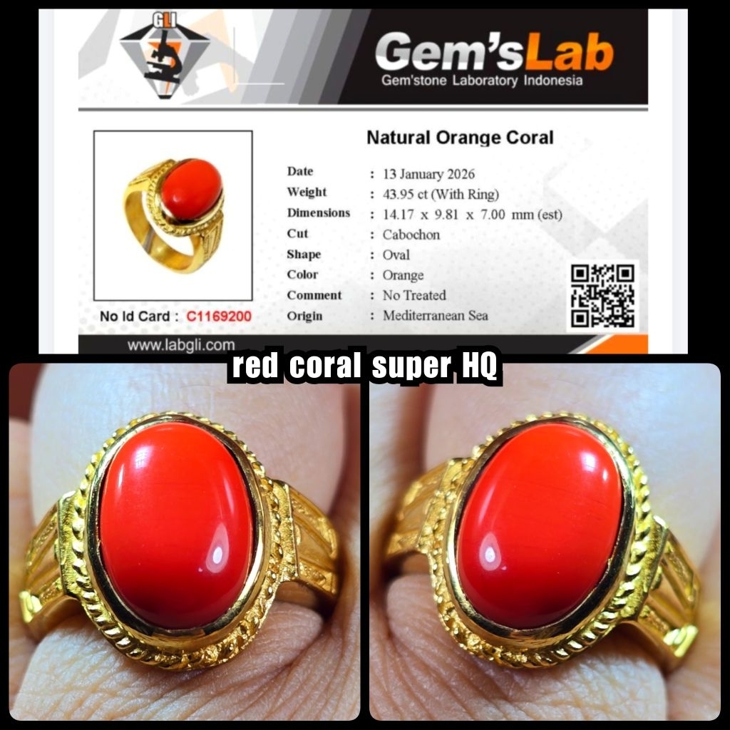 batu marjan merah super yemen asli laut merah ya