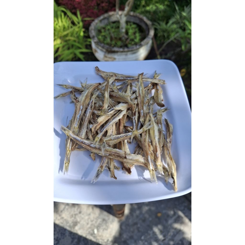 Ikan teri kering bersih tanpa kepala/ikan teri kering premium/ ikan teri kering dehidrator higienis