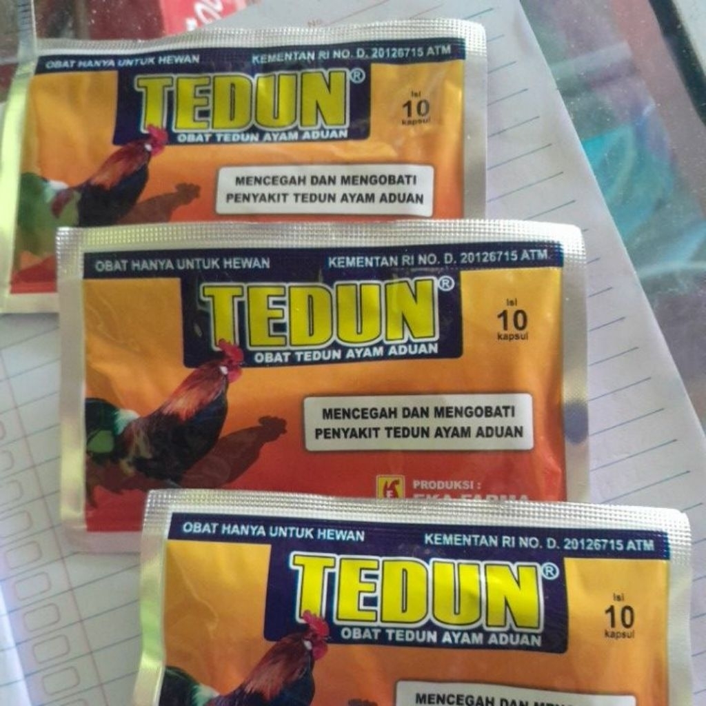 tedun obat tedun ayam aduan