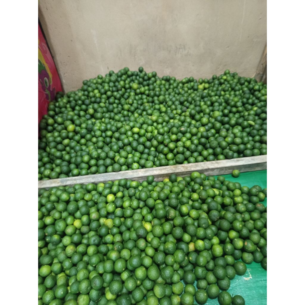 jeruk limau/limo jeruk sambel bocil kecil 1kg