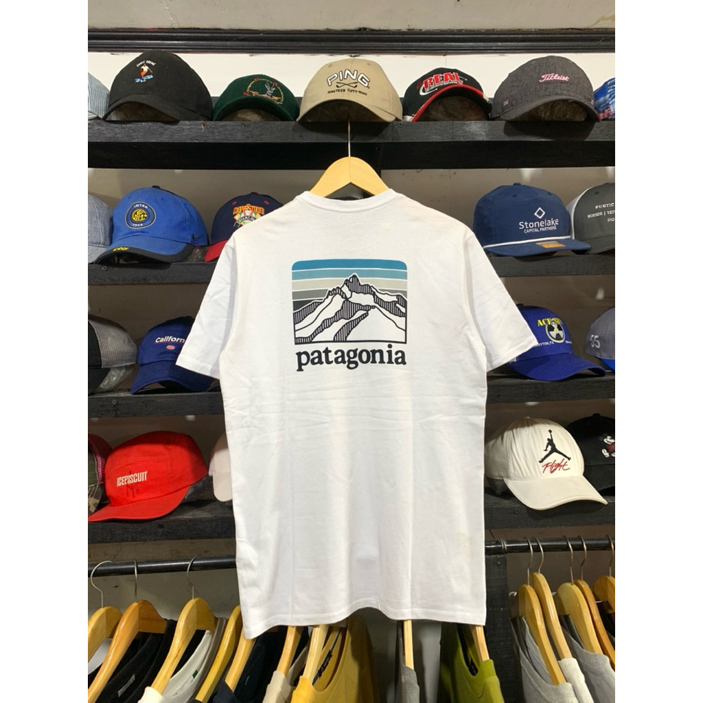 patagonia t shirt