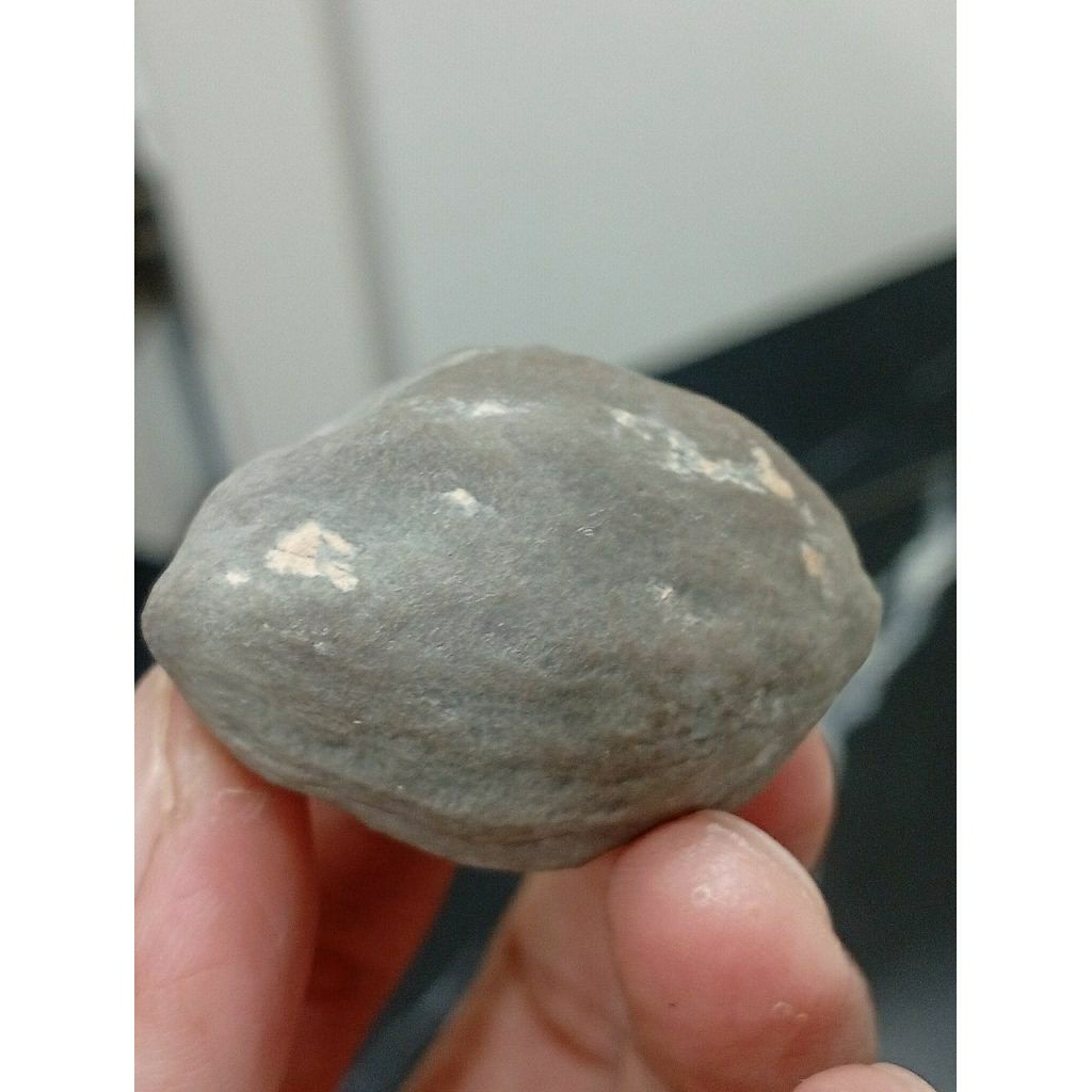 Muncang Adu JAWA MANTILI GRADE A QUALITY 100%