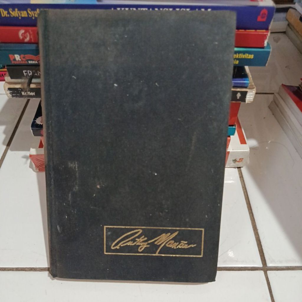 Buku minnie santangelos mortal sin
