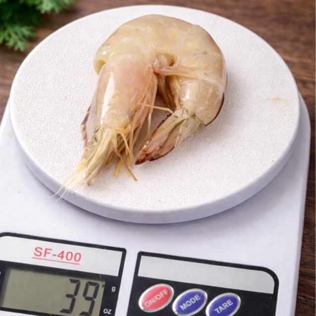 Udang Segar Besar 1kg Fresh Udang Laut Daging Tebal Cocok Bakar Saus Padang Seafood