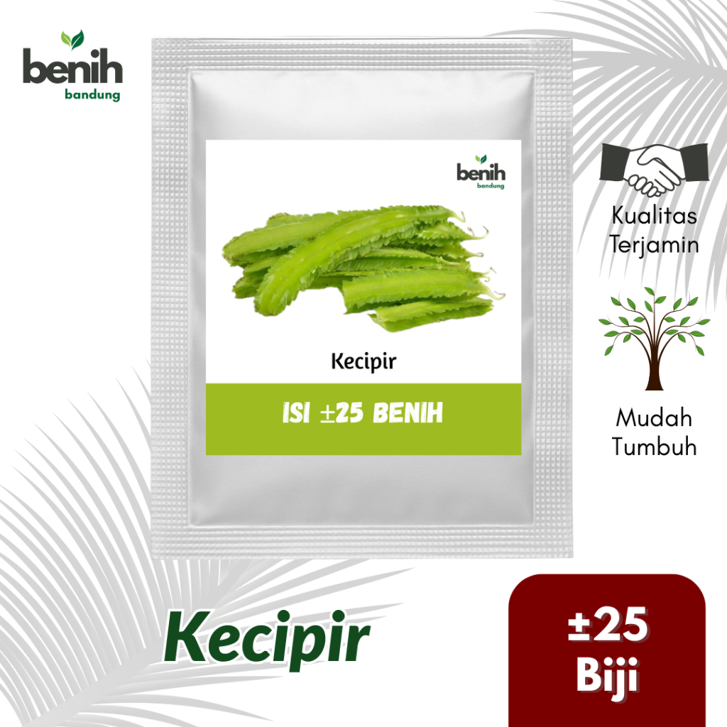 Bibit Kecipir Lalap Benih Kecipir Hijau 25 Biji