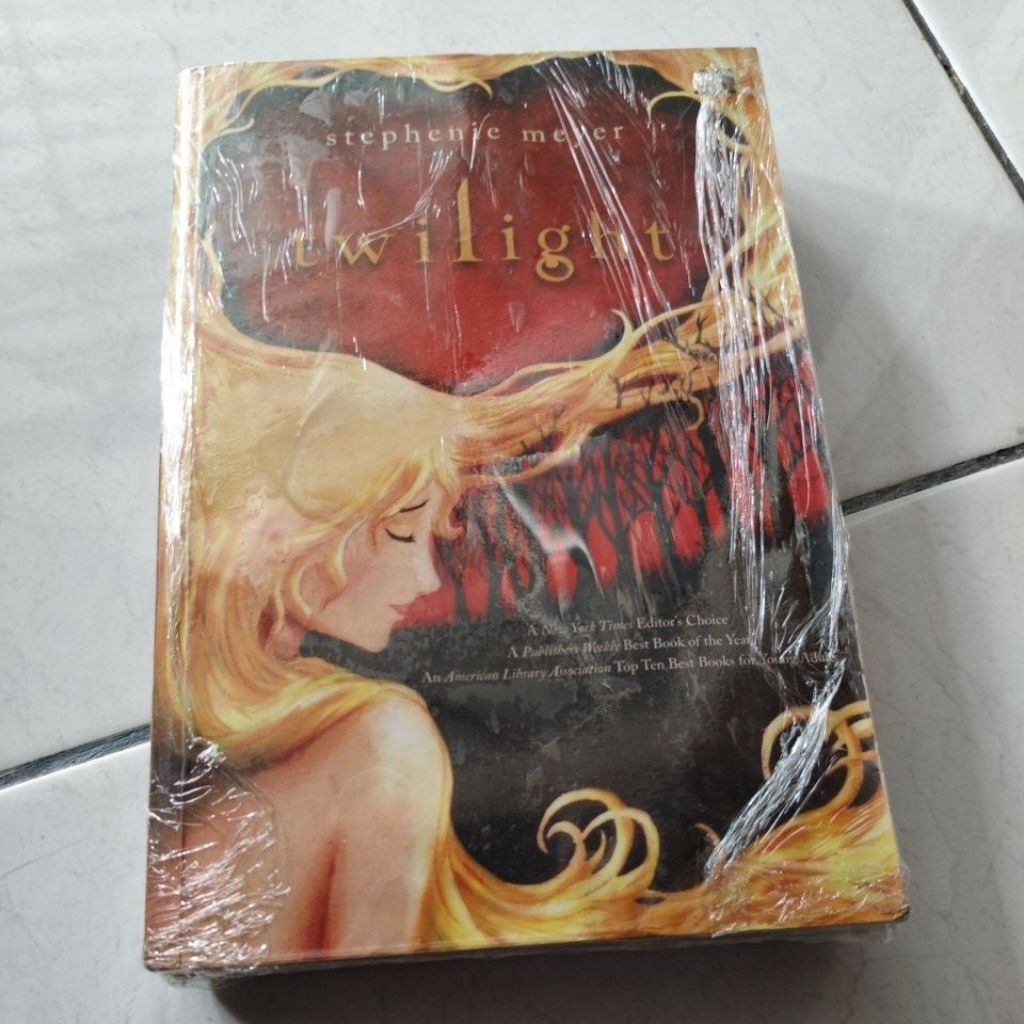 buku bacaan romansa twilight