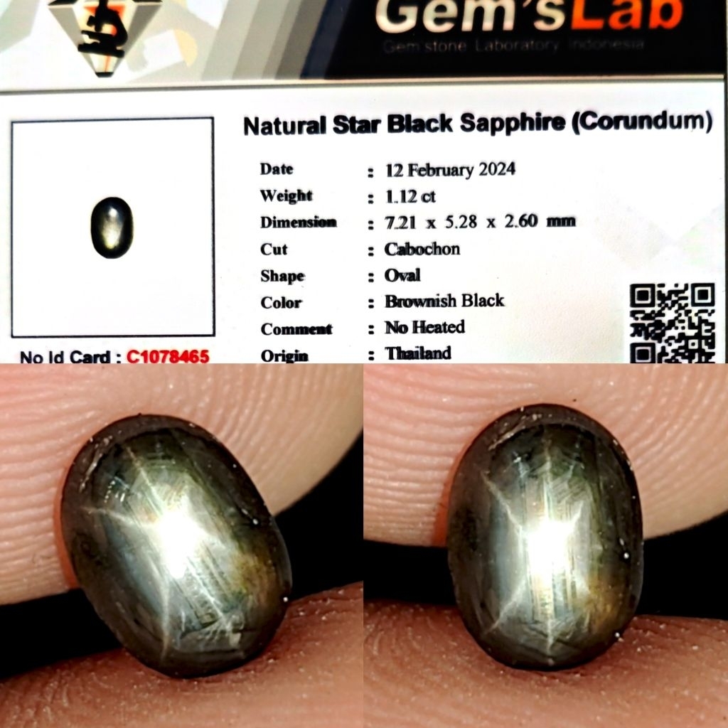 Natural Star Black Sapphire No Heated Bangsing Fenomena Star 12 Inden 1.12ct GLI Star Main Kenceng B